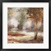 Light In Balance I Framed Print