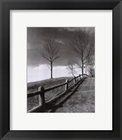 Framed Fences And Trees, Empire, Michigan