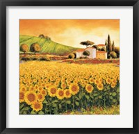 Framed Valley Of Sunflowers