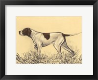 Hunting Dogs-Pointer Framed Print