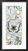 Butterfly Sky II Framed Print