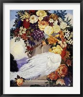 Framed White Peacock and Flowers