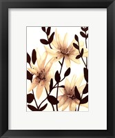 Blossoming Silhouette II Framed Print