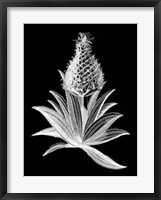 Framed Pineapple Noir I