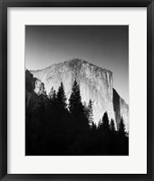 Framed El Capitan In Trees