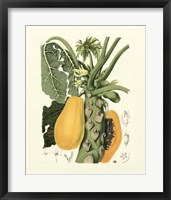 Framed Island Fruits IV