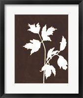 Four Seasons Foliage IV Framed Print