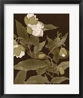 Asian Brocade I Framed Print