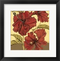 Framed Cropped Sophisticated Hibiscus I