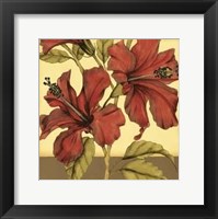 Framed Cropped Sophisticated Hibiscus II