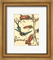 Framed 'Small Hummingbird Reverie I' border=