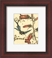 Framed 'Small Hummingbird Reverie I' border=