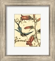 Framed 'Small Hummingbird Reverie I' border=