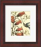 Framed 'Small Hummingbird Reverie II' border=