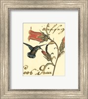 Framed 'Small Hummingbird Reverie III' border=