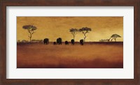 Framed Serengeti II