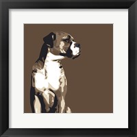 Boxer Framed Print