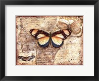 Poetic Butterfly I Framed Print