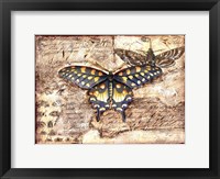 Poetic Butterfly II Framed Print