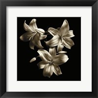 Framed Three Lilies