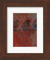 Framed Row of Sparrows II