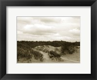 Framed Ocracoke Dune Study II