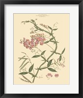 Framed Blushing Pink Florals VI