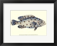 Framed Antique Fish I