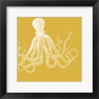 Saturated Sealife I Framed Print