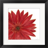 Bright Blossoms II Framed Print