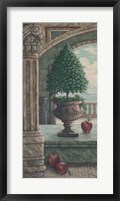 Framed Apple and Topiary