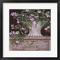 Framed Paquet De Jasmin