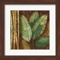 Framed Bamboo & Palms I