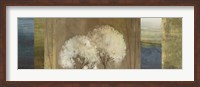 Framed Grasses I