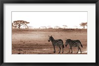 Framed Crossing The African Plains