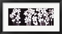 White Flowers on Black I Framed Print