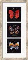 Framed Primary Butterfly Panel I