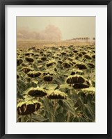 Turning Point I Framed Print