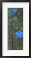 Framed Teal Poppies III