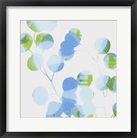 Framed Blue Plums I