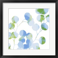 Framed Blue Plums II