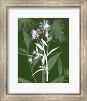 Framed 'Jewel Stems III' border=