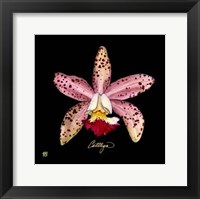 Framed Vivid Orchid III