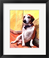 Framed Being a Beagle