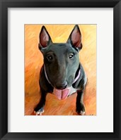 Framed Bull Terrier Rhino