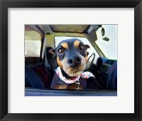 Framed Little Dobie