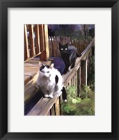 Framed Cats Fencing
