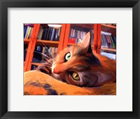 Kitty that Reads Framed Print