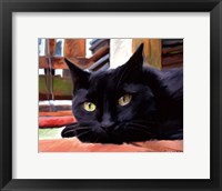 Patio Face Framed Print