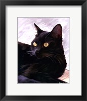 Black Cat Portrait Framed Print